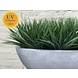Low Artificial grass bouquet 30 cm UV Low Artificial grass bouquet 30 cm UV