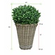 Kunst Buxus Bol 50 cm UV in rotan mand Kunst Buxus Bol 50 cm UV in rotan mand