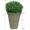 Kunst Buxus Bol 50 cm UV in rotan mand Kunst Buxus Bol 50 cm UV in rotan mand