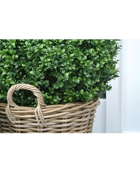 Kunstbuxus bol 50 in rotan mand