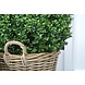 Kunst Buxus Bol 50 cm UV in rotan mand Kunst Buxus Bol 50 cm UV in rotan mand