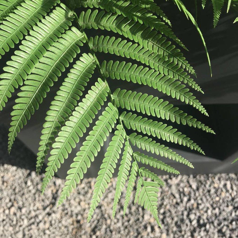 Artificial outdoor Fern bouquet 60 cm UV-protected Artificial outdoor Fern bouquet 60 cm UV-protected