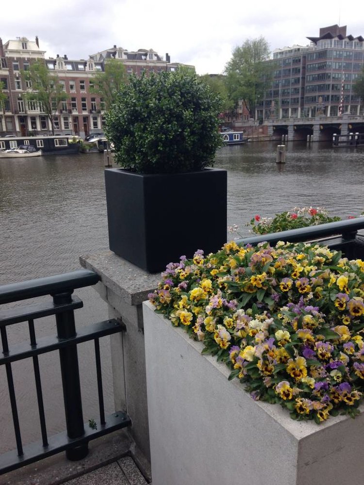 Artificial outdoor Boxwood ball 50 cm UV protected