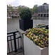 Kunst Buxus Bol 50 cm UV Kunst Buxus Bol 50 cm UV
