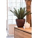 Artificial outdoor Cycas Palm 60 cm UV protected Artificial outdoor Cycas Palm 60 cm UV protected