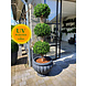 UV Kunst Buxus Triobol 175 UV Kunst Buxus Triobol 175