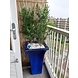 Artificial outdoor Bamboo plant 90 cm UV-protected Artificial outdoor Bamboo plant 90 cm UV-protected