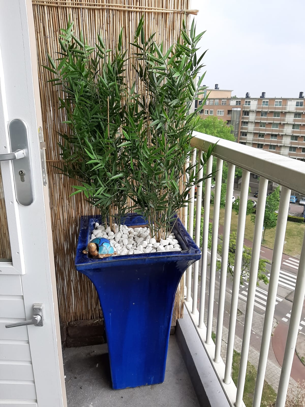 tweedehands Seminarie demonstratie Artificial Bamboo plant for outdoors | 8-year Colour Guarantee -