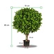 Artificial outdoor Boxwood ball 70 cm UV protection Artificial outdoor Boxwood ball 70 cm UV protection