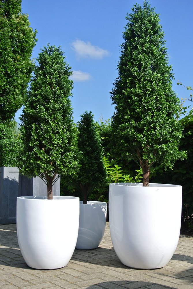 Outdoor artificial Boxwood Pyramid tree 170 cm UV protected Outdoor artificial Boxwood Pyramid tree 170 cm UV protected
