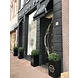 Kunst Buxus Bol 50 cm UV Kunst Buxus Bol 50 cm UV