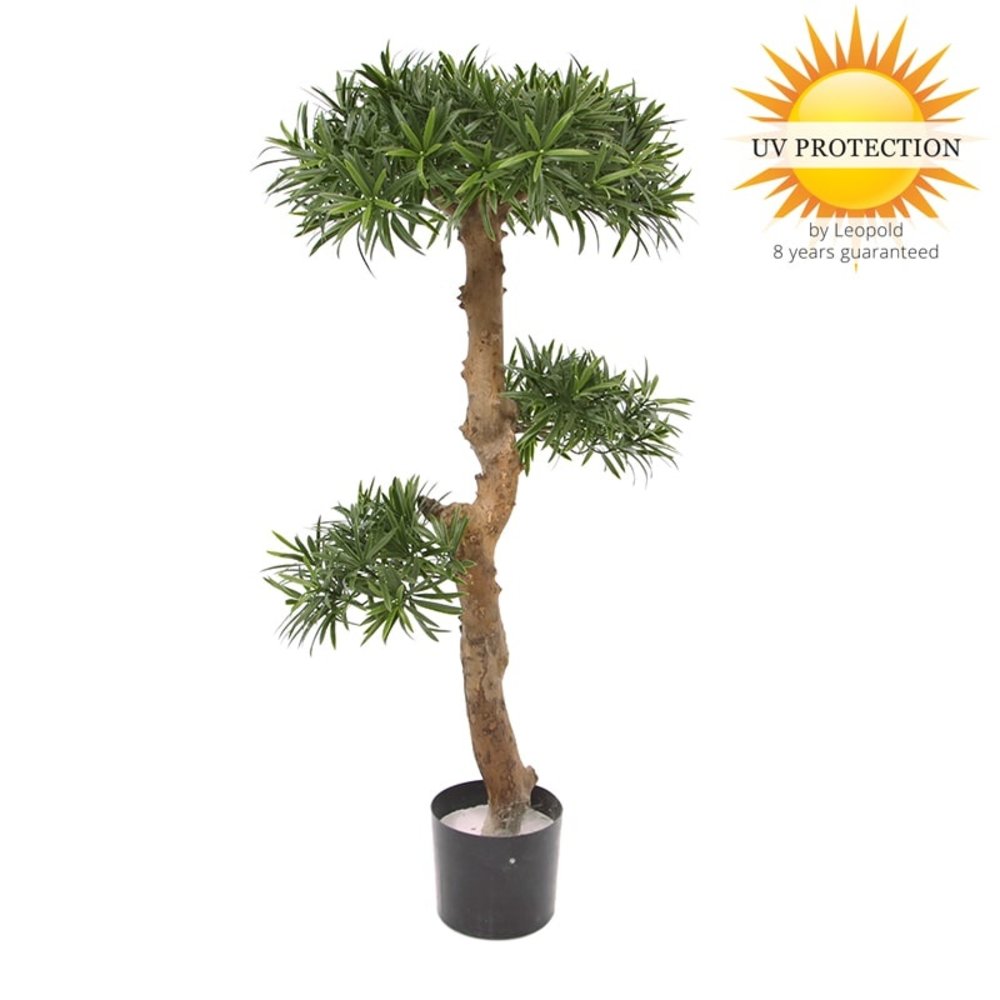 Artificial Podocarpus Bonsai tree 105 cm UV for outdoors Artificial Podocarpus Bonsai tree 105 cm UV for outdoors