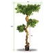 Mooie Kunstboom Podocarpus Bonsai 160 cm uv Mooie Kunstboom Podocarpus Bonsai 160 cm uv