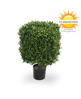 UV Buxus Kubus 30 cm UV Buxus Kubus 30 cm