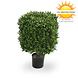 Outdoor Artificial Boxwood Cube 30 cm UV protection Outdoor Artificial Boxwood Cube 30 cm UV protection