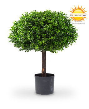 Kunstplant buxus 1/2 bol 65 cm UV Kunstplant buxus 1/2 bol 65 cm UV