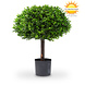 Artificial outdoor Boxwood 1/2 ball on trunk 65 cm UV protected Artificial outdoor Boxwood 1/2 ball on trunk 65 cm UV protected