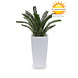 Outdoor Artificial Cycas Palm 80 cm UV protected Outdoor Artificial Cycas Palm 80 cm UV protected