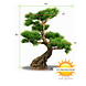Artificial outdoor Bonsai Pinus tree 80 cm with 5 levels UV protected Artificial outdoor Bonsai Pinus tree 80 cm with 5 levels UV protected