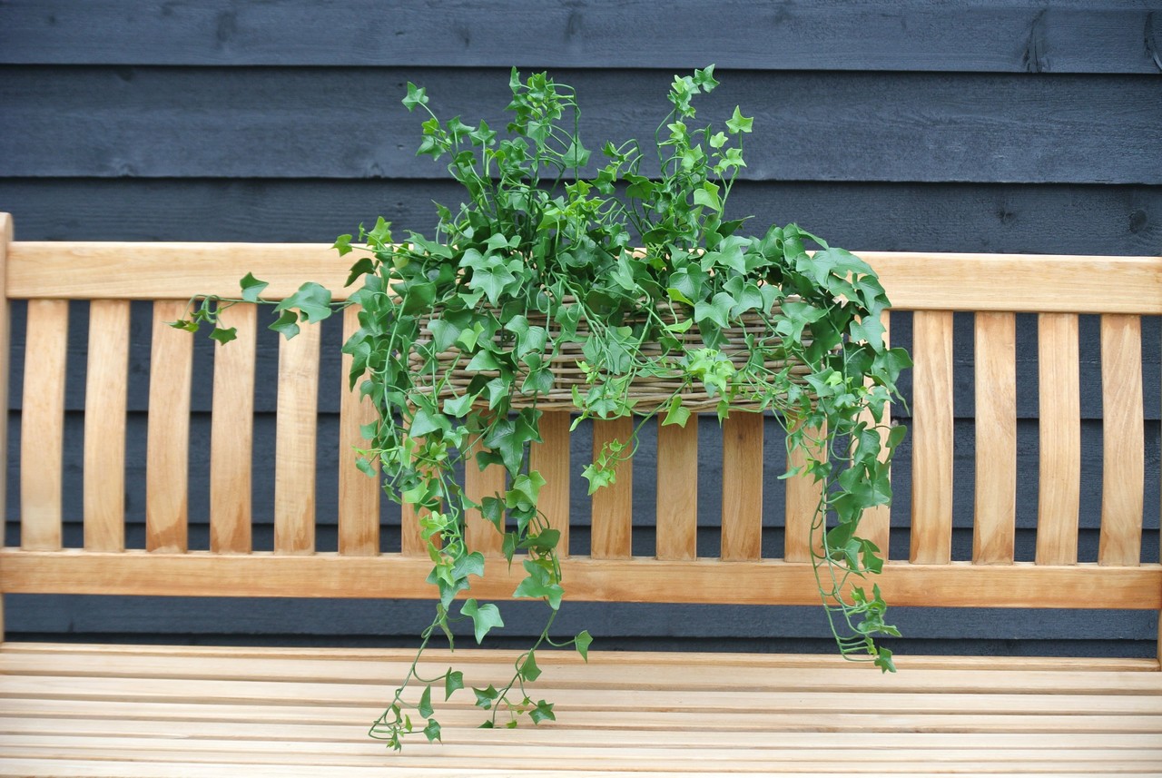 Kunststof  hangplant klimop 65 cm UV voor Buiten Kunststof  hangplant klimop 65 cm UV voor Buiten