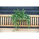 Artificial Ivy hanging plant 65 cm UV protected for outside Artificial Ivy hanging plant 65 cm UV protected for outside