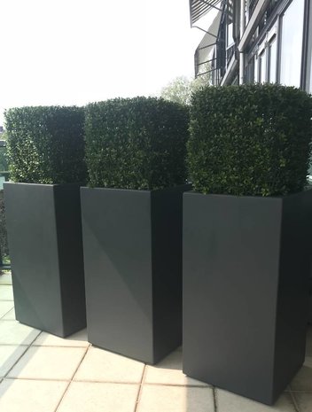 Artificial outdoor Boxwood square 50 cm UV protection