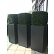 Artificial outdoor Boxwood square 50 cm UV protection Artificial outdoor Boxwood square 50 cm UV protection