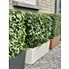 Buiten kunsthaag Schefflera UV Buiten kunsthaag Schefflera UV