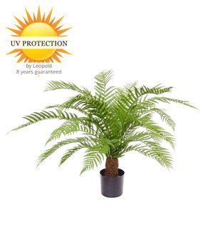 Alsophillia kunst Varen XXL  80 cm UV Alsophillia kunst Varen XXL  80 cm UV