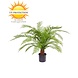 Outdoor Artificial Fern XXL 80 cm UV protected in pot Outdoor Artificial Fern XXL 80 cm UV protected in pot