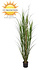 Buiten kunstplant  Rietgras  165 cm UV Buiten kunstplant  Rietgras  165 cm UV