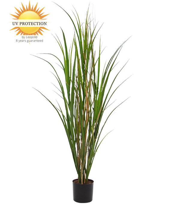 Artifical Grass plants outdoor bestellen met 8 jaar kleurgarantie