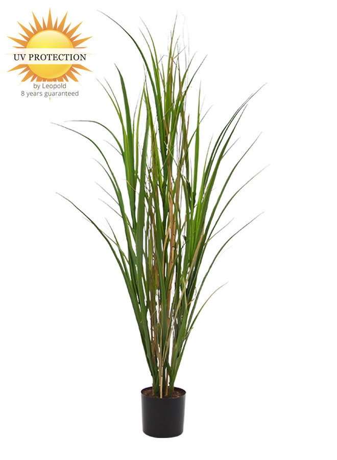 Artificial ornamental grass plants for outdoors