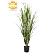Outdoor Artificial Reed grass plant 120 cm UV Outdoor Artificial Reed grass plant 120 cm UV