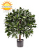 Kunst laurier bol 55cm UV Kunst laurier bol 55cm UV