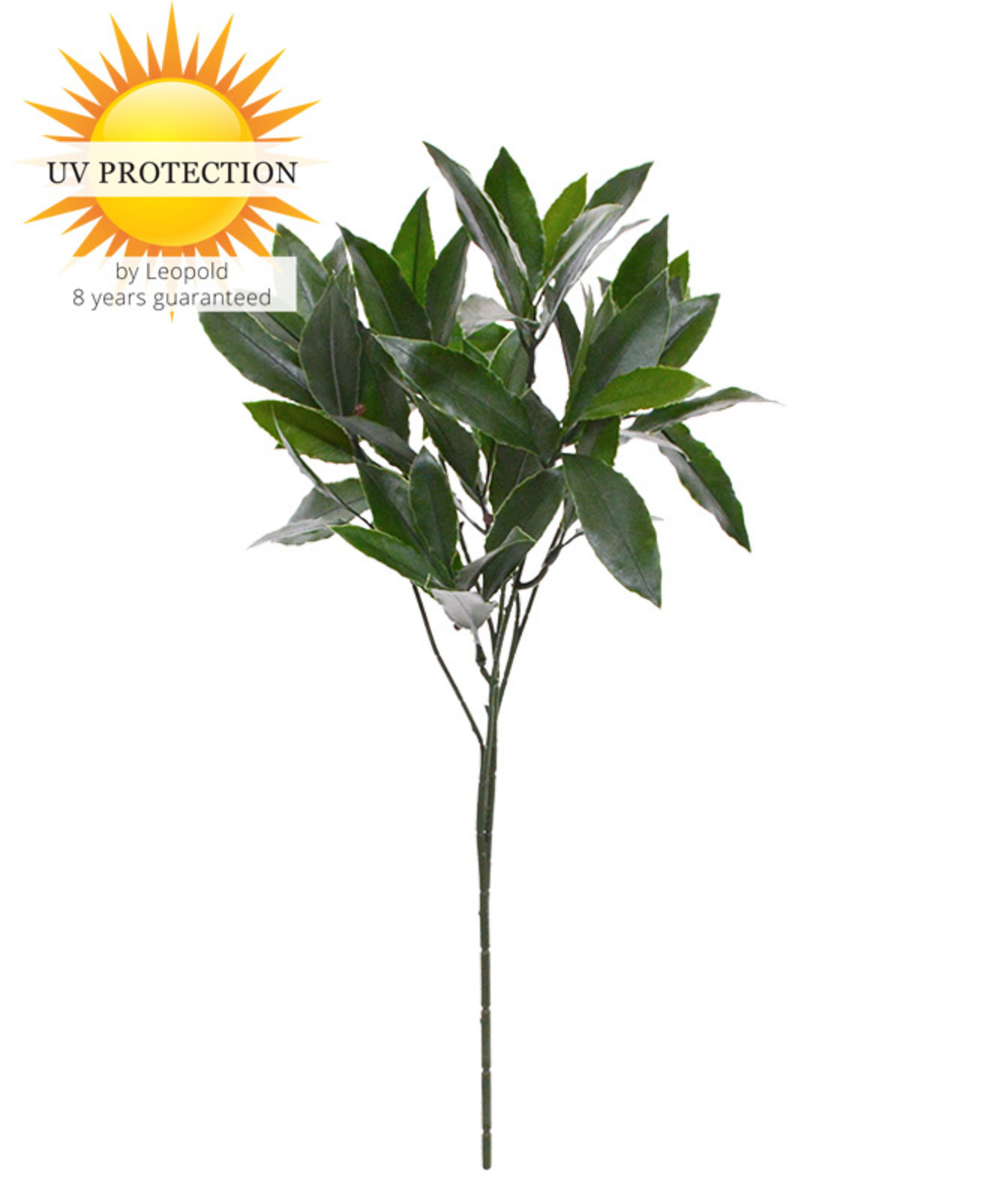 Artificial Laurel branch with 8year colour guarantee at LeopoldFlora