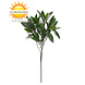 Artificial Outdoor Laurel branch UV protected Artificial Outdoor Laurel branch UV protected
