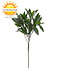 Artificial Laurel branch 50 cm UV Artificial Laurel branch 50 cm UV