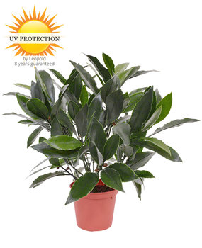Kunst laurier plantje 35 cm UV Kunst laurier plantje 35 cm UV