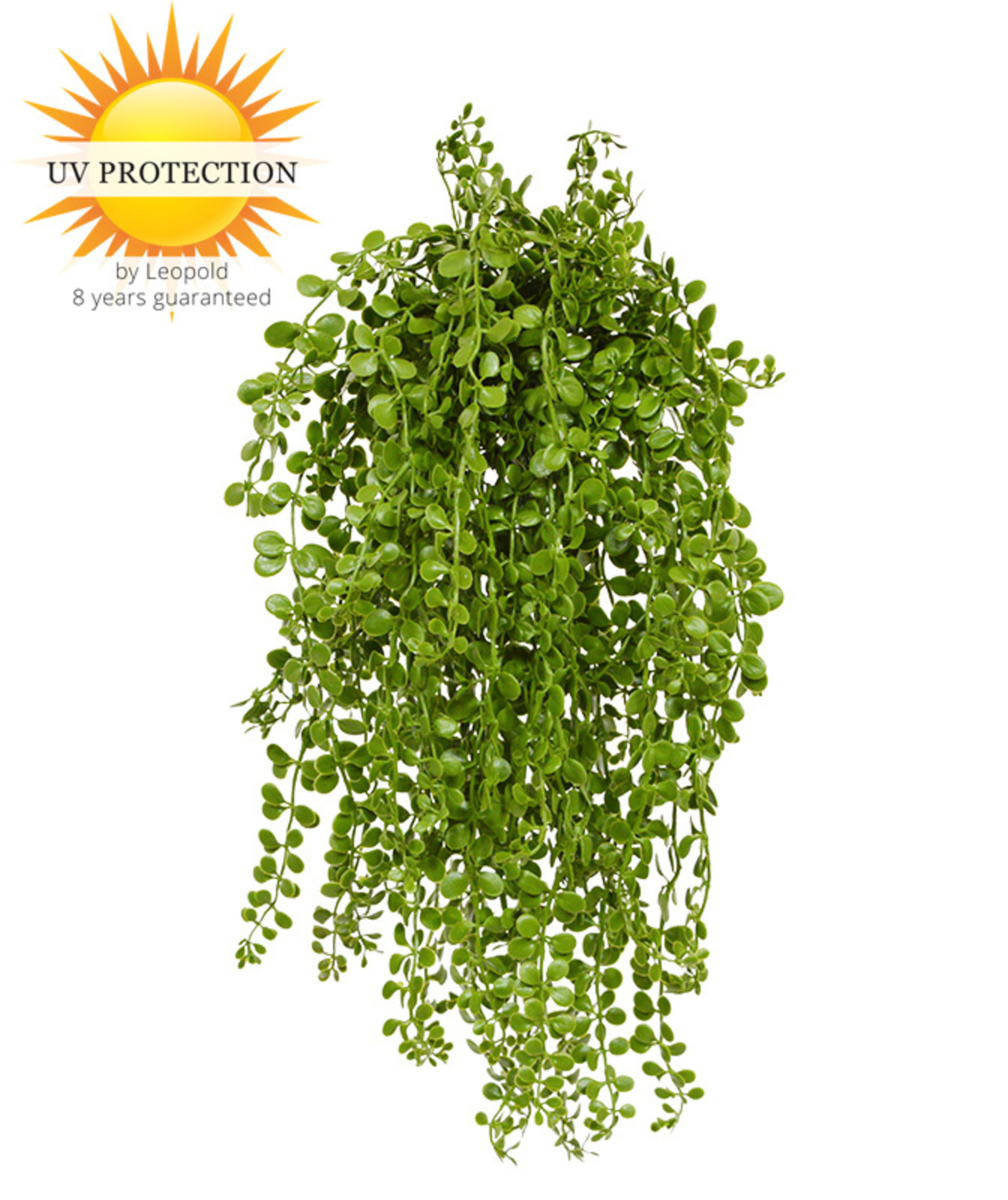 Dischidia artificial hanging plant 8year Colour Guarantee