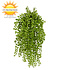 Dischidia nummularia kunsthangplantje 40cm UV Dischidia nummularia kunsthangplantje 40cm UV