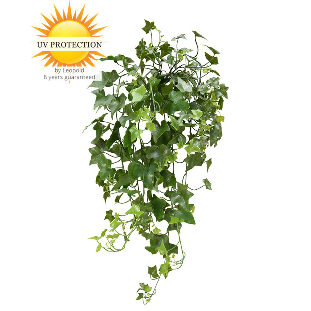 Artificial Varigated Ivy Hanging Bush Astoria Grand Size: 28 H x 8 W x 10 D