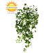 Artificial Ivy hanging plant 65 cm UV protected for outside Artificial Ivy hanging plant 65 cm UV protected for outside