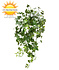Artificial Ivy hanging plant 65 cm UV Artificial Ivy hanging plant 65 cm UV