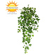 Artificial outdoor Ivy hanging plant 80 cm UV protected Artificial outdoor Ivy hanging plant 80 cm UV protected