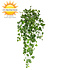Groene kunsthangplant klimop 80 cm UV Groene kunsthangplant klimop 80 cm UV