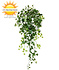 Artificial Ivy hanging plant 100 cm UV Artificial Ivy hanging plant 100 cm UV