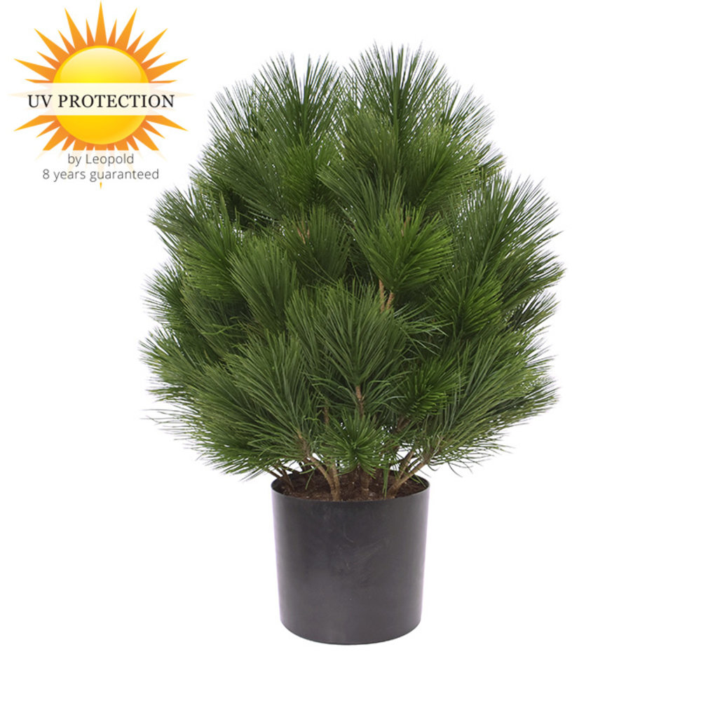 Kunststruik Pinus Den 60 cm UV  voor buiten Kunststruik Pinus Den 60 cm UV  voor buiten
