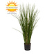 Kunst Siergras plant 80 cm UV in pot Kunst Siergras plant 80 cm UV in pot