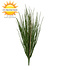 Grass bouquet 70 cm UV Grass bouquet 70 cm UV